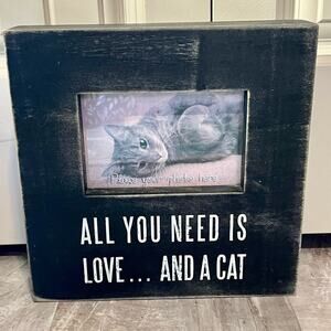 All You Need is Love and a Cat shabby chic picture frame